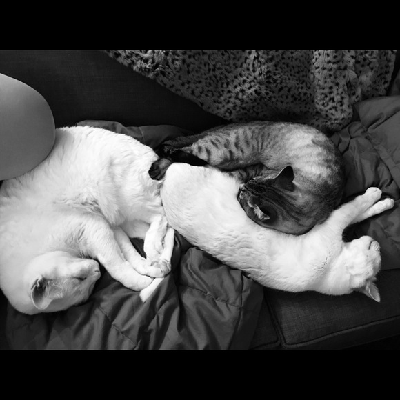 Meet your Posher, Aleks - Picture 7 of 7